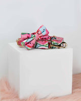 Watermelon Sugar Dog Collar | Urbana Pet Boutique