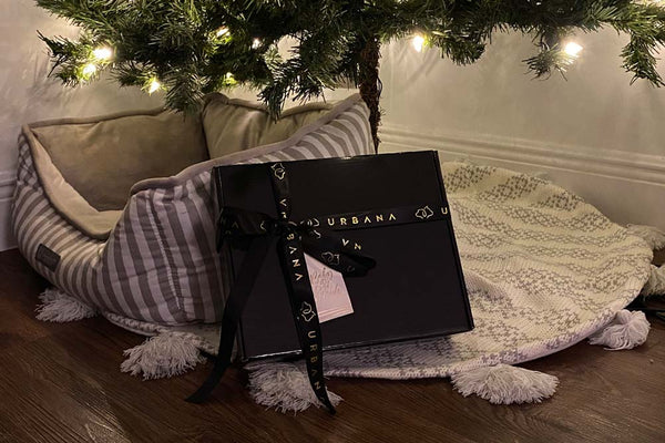 Meet our Beautiful and Luxurious Xmas Gift Box | Dog-friendly Gift Ideas