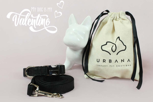 Gift Guide: 5 Stylish Valentine's Day Present for your Dog.