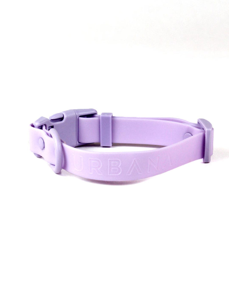 Lavender Waterproof Dog Collar