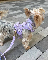 Lavender Waterproof Dog Collar
