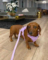 Lavender, Purple Vest Dog Harness_Urbana Pet Boutique_Smart Dog Harness