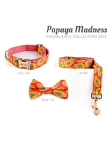 Papaya Madness Dog Leash | Urbana Pet Boutique