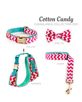 Cotton Candy Dog Leash - Urbana Pet Boutique