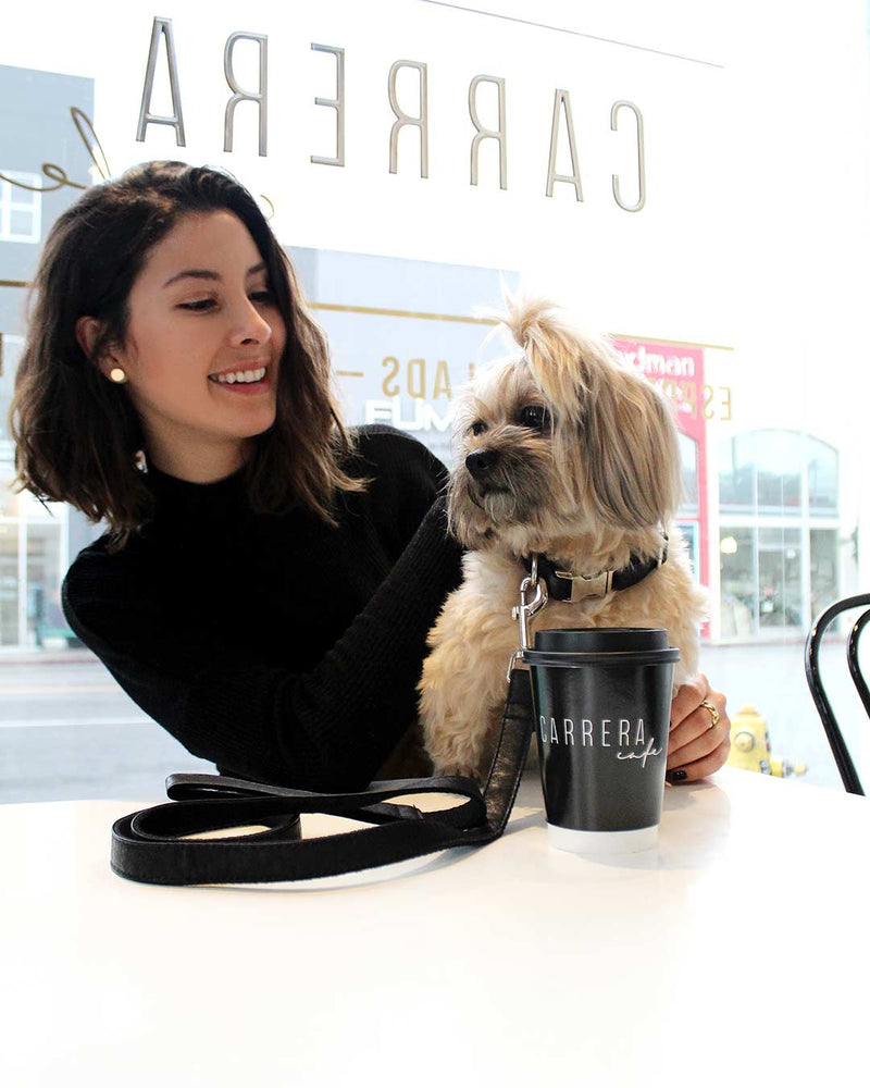 Black Vegan Leather Dog Collar | Urbana Pet Boutique