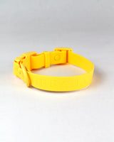 Yellow Bolt Waterproof Dog Collar | Urbana Pet Boutique