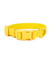 Yellow Bolt Waterproof Dog Collar | Urbana Pet Boutique