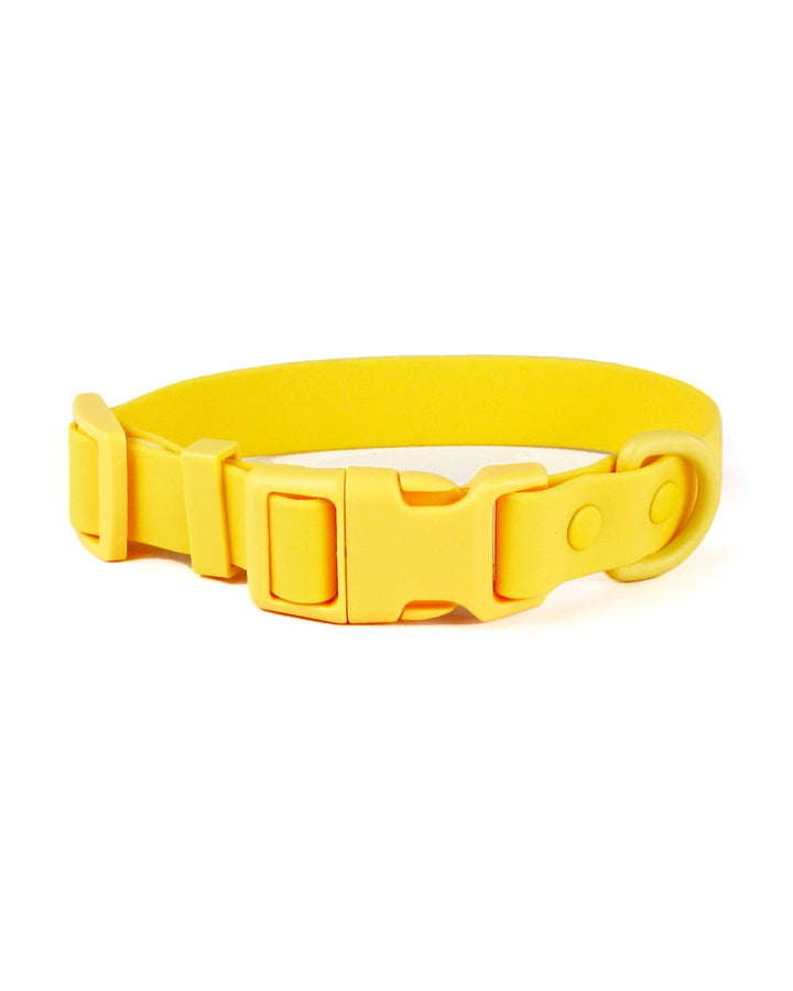 Yellow Bolt Waterproof Dog Collar | Urbana Pet Boutique