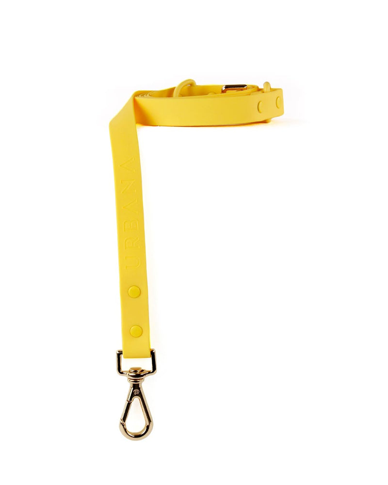 Yellow Bolt Waterproof Dog Leash | Urbana Pet Boutique