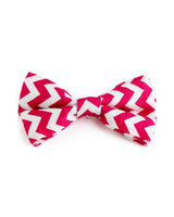 Cotton Candy Dog Bow Tie | Urbana Pet Boutique