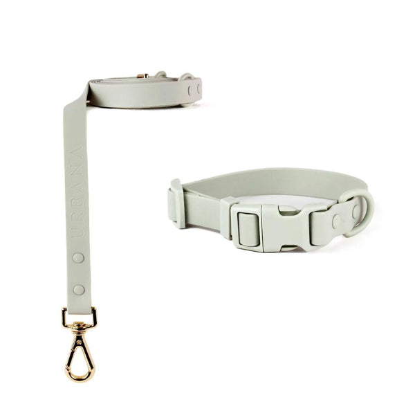 Collar and Leash Set Ivory