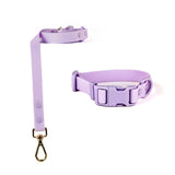 Collar and Leash Set Lavender