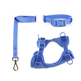 Harness, Collar and Leash Set Cobalt