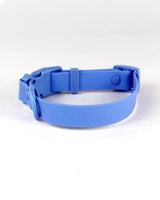 Blue Cobalt Waterproof Dog Collar | Urbana Pet Boutique