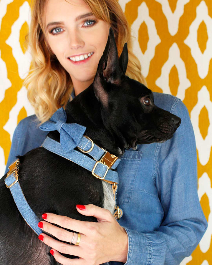 Denim Dog Collar | Urbana Pet Boutique
