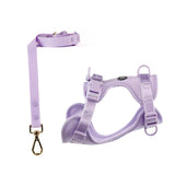 Harness and Leash Set Lavender