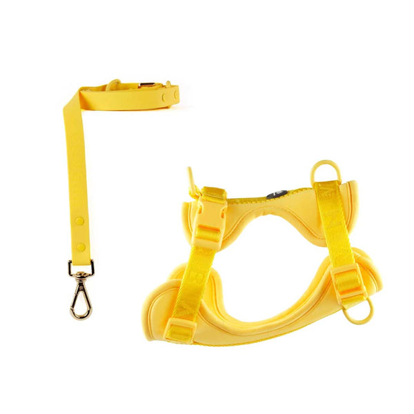 Harness and Leash Set Yellow