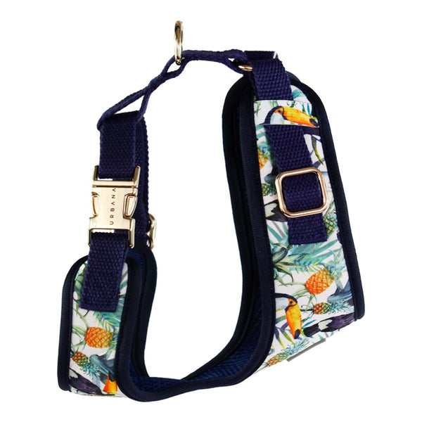 Tropical sale dog harness