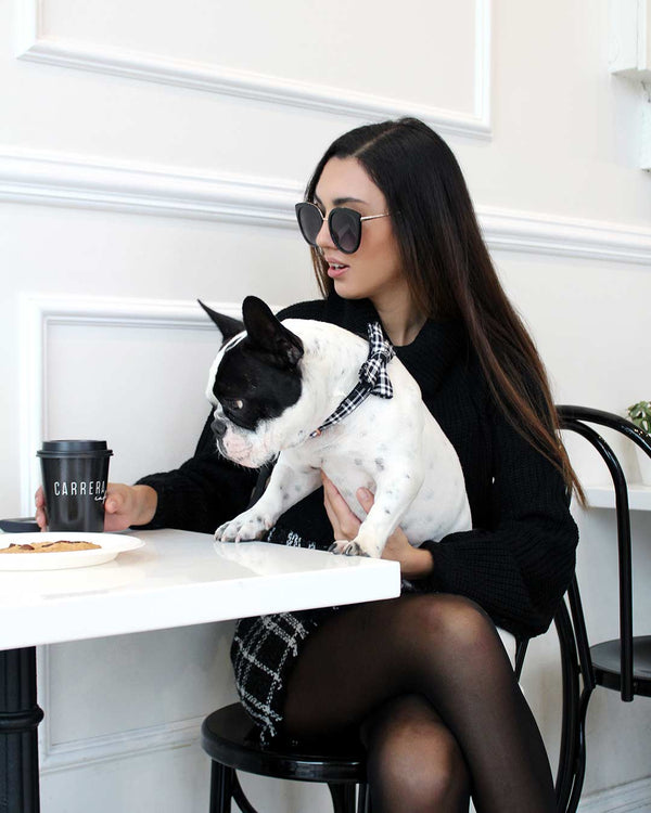 Tuxedo Toast Dog Collar | Urbana Pet Boutique