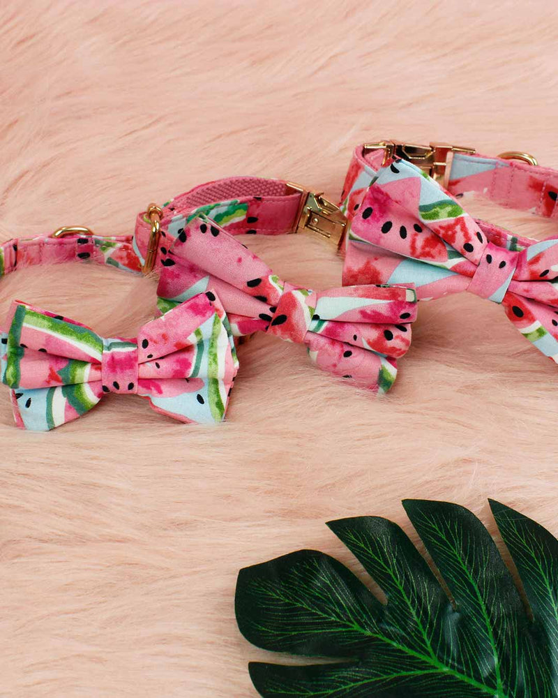 Watermelon Sugar Dog Collar | Urbana Pet Boutique