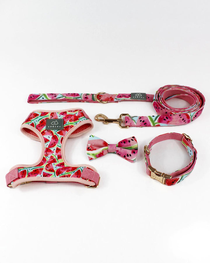 Watermelon Sugar Dog Collar | Urbana Pet Boutique
