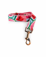 Watermelon Sugar Dog Leash | Urbana Pet Boutique