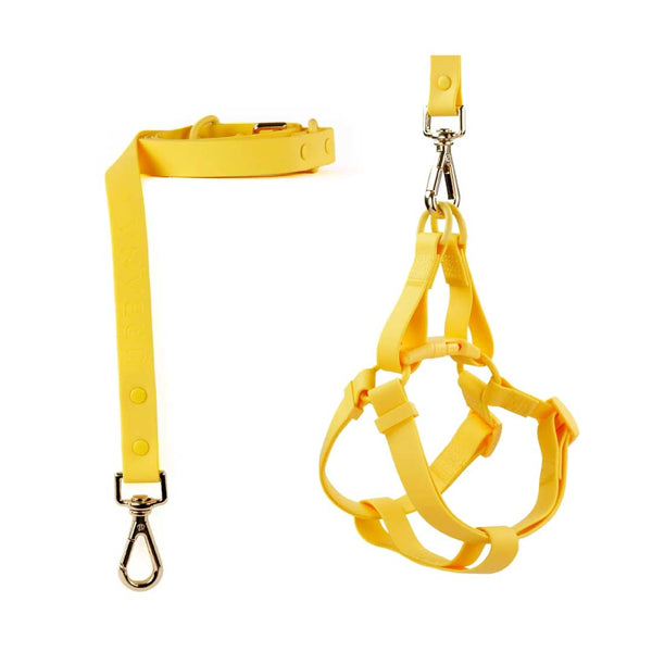 Waterproof Harness and Leash Set Yellow