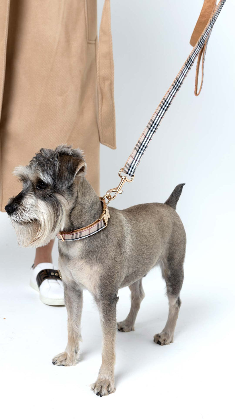 buckingham_burberry_dog leash_urbana pet boutique