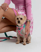 Cotton Candy_Dog Harness_Urbana Pet Boutique