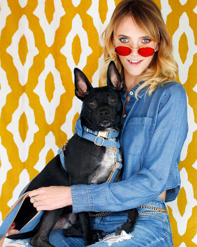Denim Dog Collar | Urbana Pet Boutique