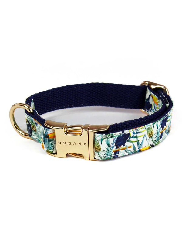 Tropical Jungle Dog Collar | Urbana Pet Boutique